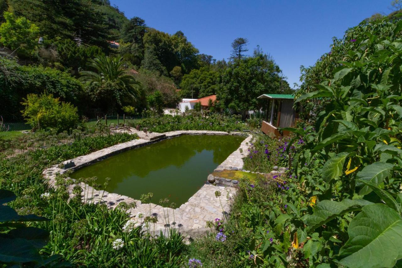 Quinta Das Murtas B&B Sintra Kültér fotó